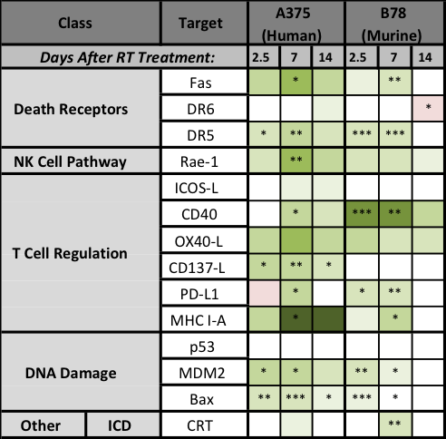 chart showing effects of radiation on tumor cell immune susceptibility 