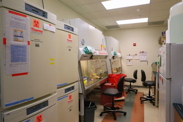 Harari Lab Tissue Culture Room