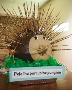 decorated pumpkin, porcupine