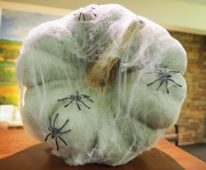 decorated pumpkin, spider web
