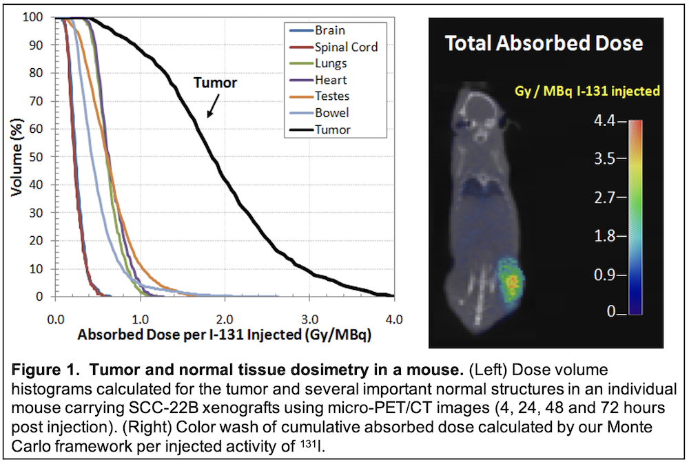Figure 1. Tumor and normal tissue dosimetry in a mouse.