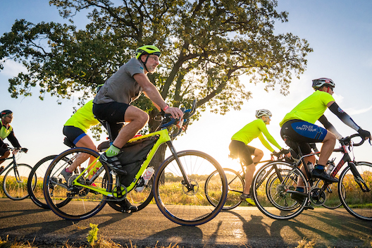 Bicyclists passing in front of a tree and the rising sun on the Ride.