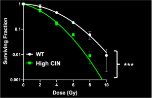 Graph of surviving fraction cells vs dose (gy) - wt vs high CIN